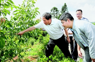 贵州日报:三股劲拧成金钢绳--贵州大学服务大扶贫实现校地双赢