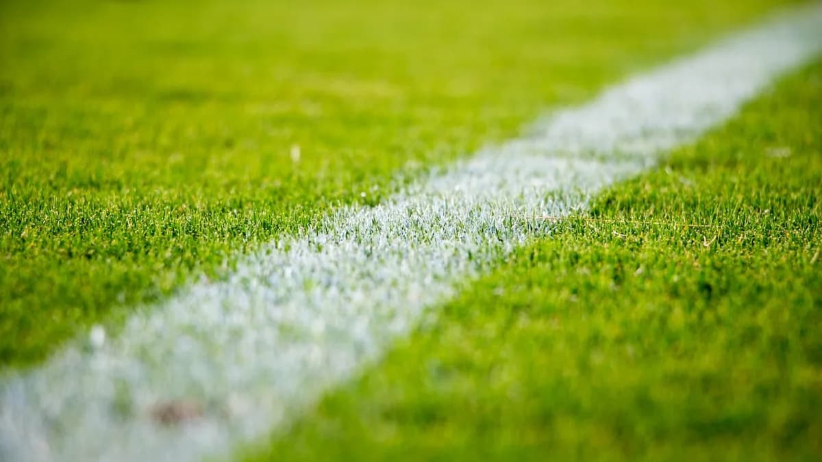 Nhận định V-League vòng mới nhất: Hà Nội FC vs CLB TP.HCM & Bình Dương vs Hải Phòng