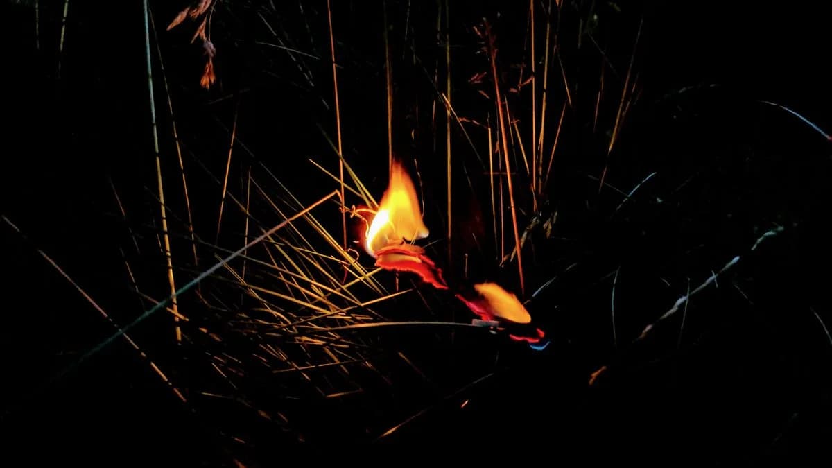 Kèo Châu Á Là Gì? Hướng Dẫn Đọc Kèo Từ Cơ Bản Đến Nâng Cao