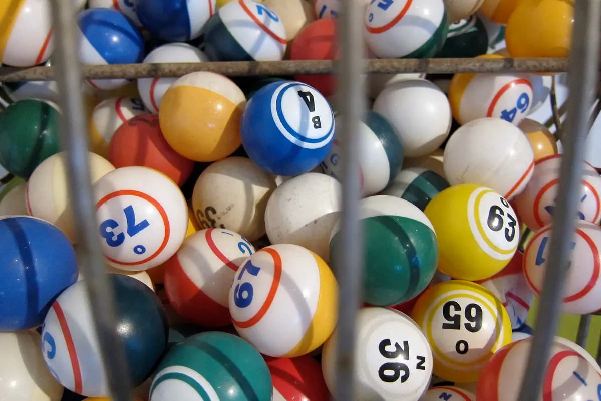 Jili Bingo vs Bingo Plus: provider-level bingo hall comparison