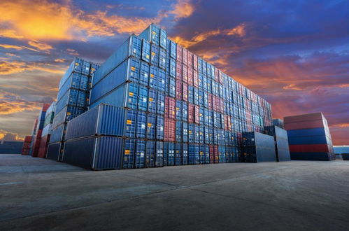 雪松控股再登世界500强，排名何以跃升60位